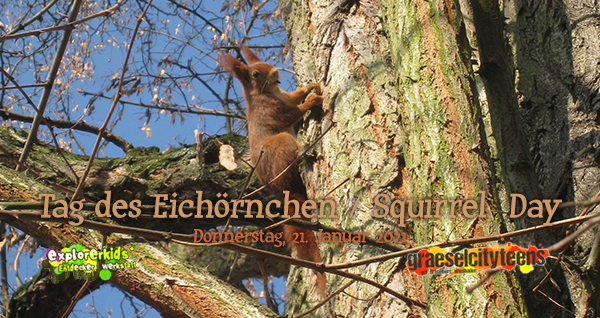 Tag des EichhÃ¶rnchen . Squirrel Day . 21. Januar 2021 . explorerkids* . Entdecker Werkstatt im kujakk . kujakk . Kinder- und Jugendzentrum in der Reduit . Mainz-Kastel . & . gct . graeselcityteens ...auf dem GrÃ¤selberg . Stadtteilzentrum GrÃ¤selberg . Wiesbaden