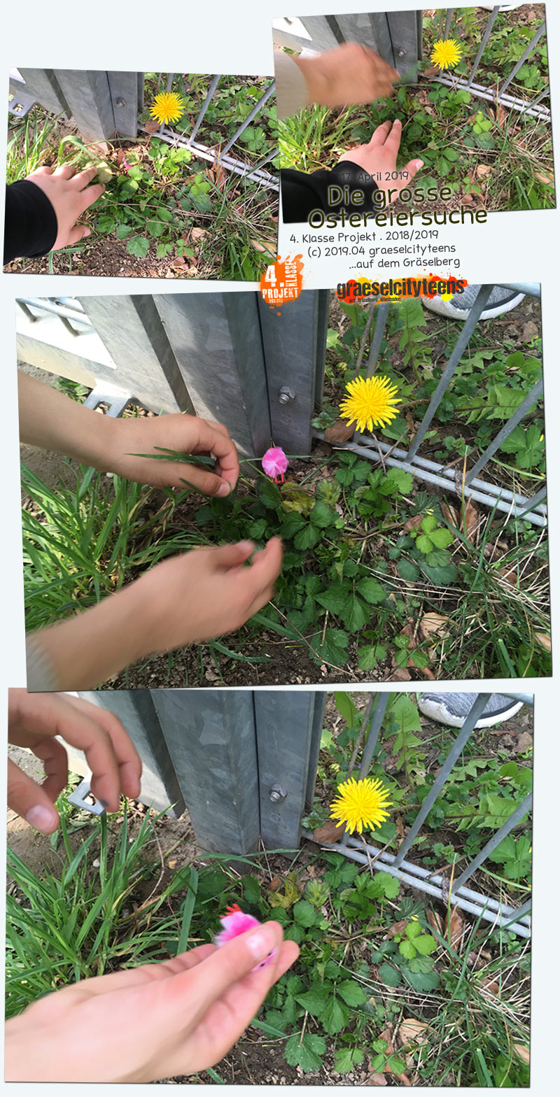 Die grosse Ostereiersuche . Sucht den pinken