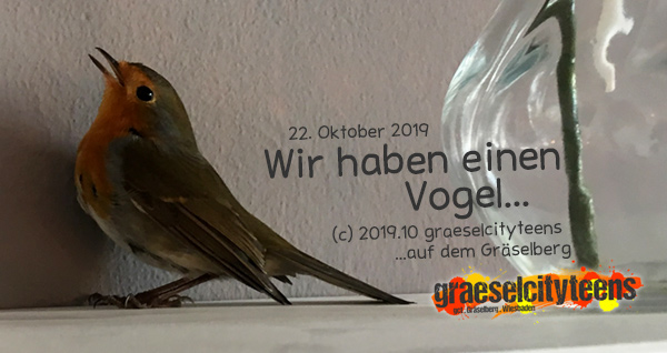 Wir haben einen Vogel... . ...im CafÃ© . 22. Oktober 2019 . graeselcityteens . Stadtteilzentrum GrÃ¤selberg . Wiesbaden