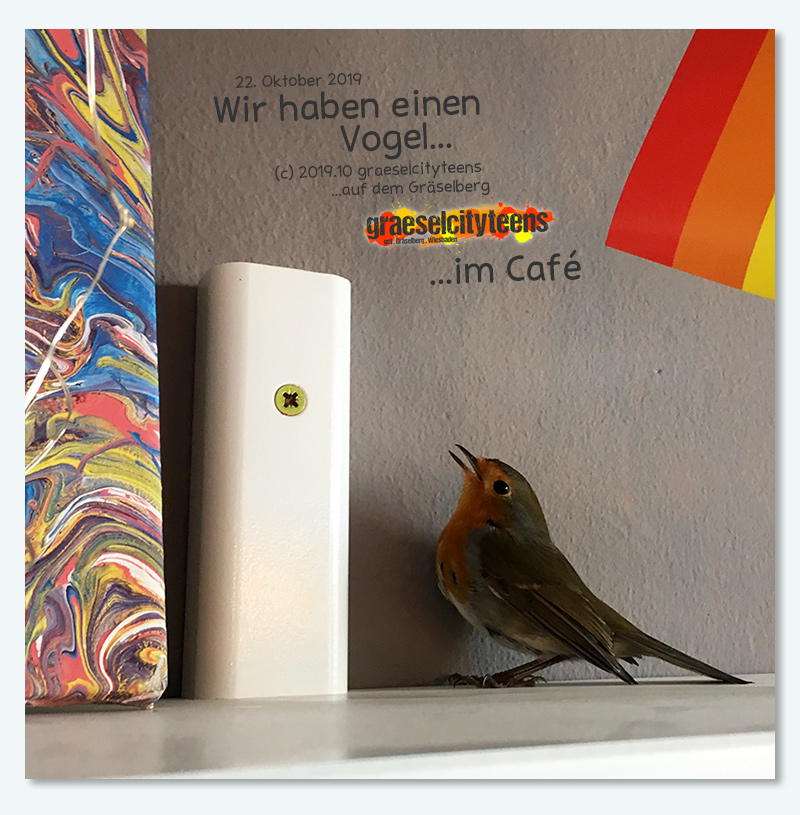 Wir haben einen Vogel... . ...im CafÃ© . 22. Oktober 2019 . graeselcityteens . Stadtteilzentrum GrÃ¤selberg . Wiesbaden