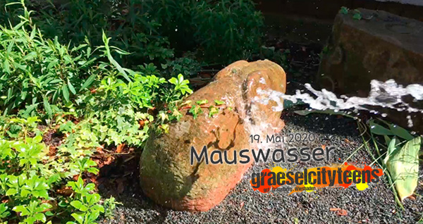 Mauswasser . ...eine schöne Erfrischung . 19. Mai 2020 . gct . graeselcityteens ...auf dem Gräselberg . Stadtteilzentrum Gräselberg . Wiesbaden