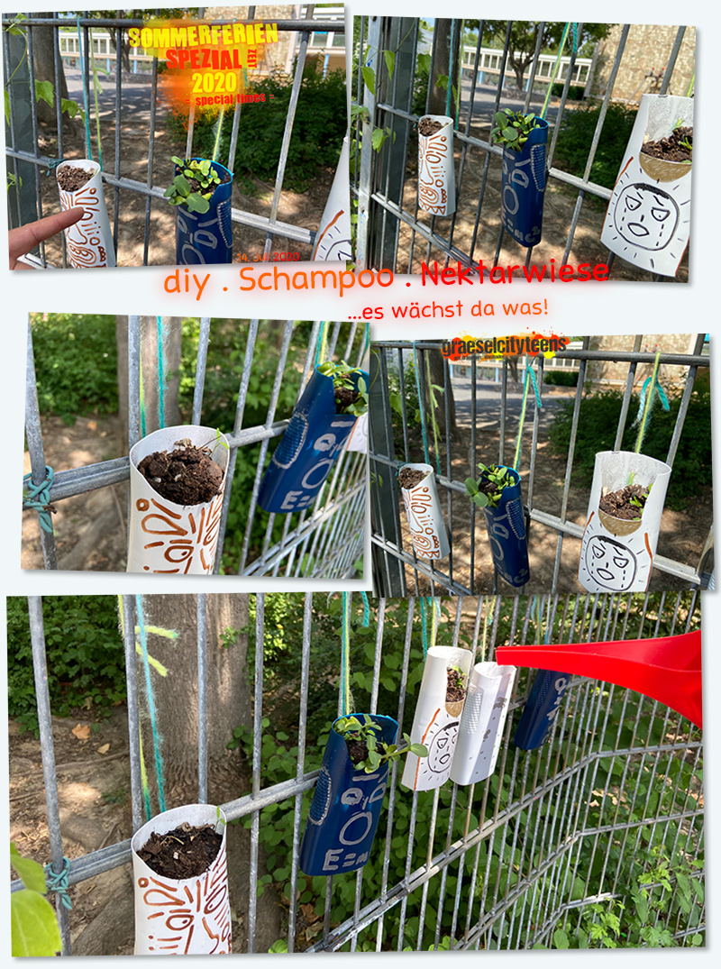 diy . Schampoo . Nektarwiese . ...es wächst da was! . 14. Juli 2020 . Sommerferien Spezial Zeit 2020 . special times . gct . graeselcityteens ...auf dem Gräselberg . Stadtteilzentrum Gräselberg . Wiesbaden