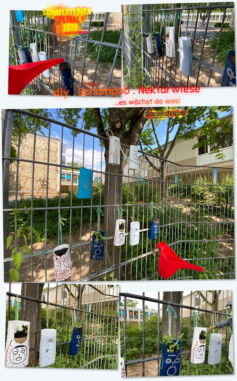 diy . Schampoo . Nektarwiese . ...es wächst da was! . 14. Juli 2020 . Sommerferien Spezial Zeit 2020 . special times . gct . graeselcityteens ...auf dem Gräselberg . Stadtteilzentrum Gräselberg . Wiesbaden