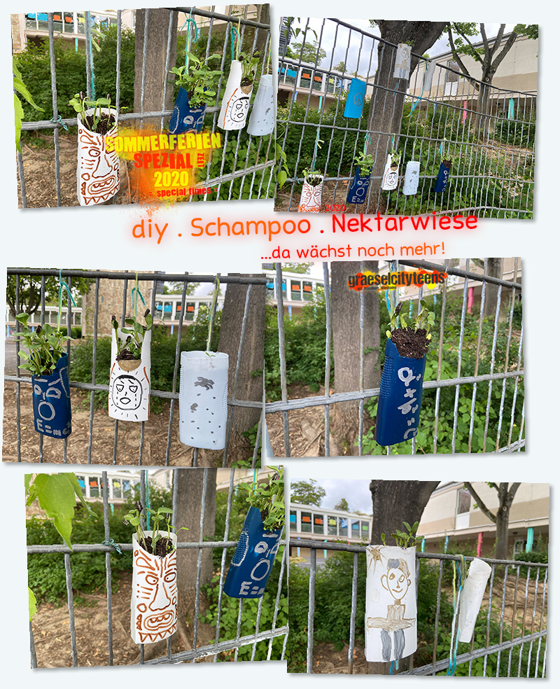 diy . Schampoo . Nektarwiese . ...da wächst noch mehr! . 16. Juli 2020 . Sommerferien Spezial Zeit 2020 . special times . gct . graeselcityteens ...auf dem Gräselberg . Stadtteilzentrum Gräselberg . Wiesbaden