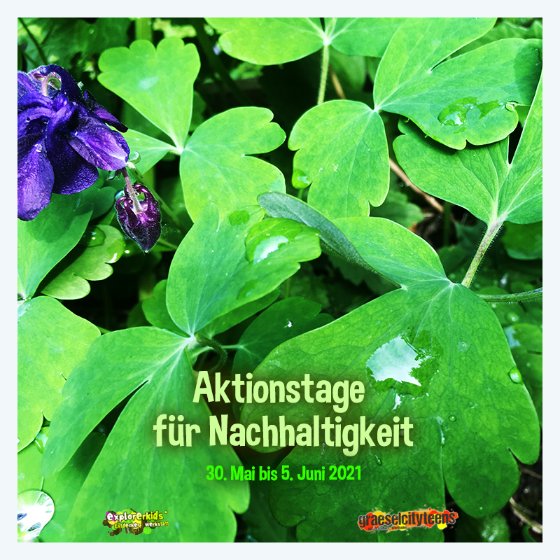 Aktionstage fÃ¼r Nachhaltigkeit . Bewusstsein fÃ¼r Nachhaltigkeit erhÃ¶hen! . 30. Mai bis 5. Juni 2021 . explorerkids* . Entdecker Werkstatt im kujakk . kujakk . Kinder- und Jugendzentrum in der Reduit . Mainz-Kastel . & . gct . graeselcityteens ...auf dem GrÃ¤selberg . Stadtteilzentrum GrÃ¤selberg . Wiesbaden