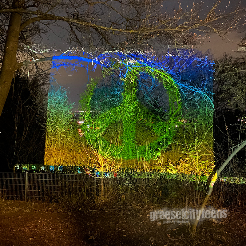 peace light . Beamerlicht im Garten . 17. MÃ¤rz 2022 . gct . graeselcityteens ...auf dem GrÃ¤selberg . Stadtteilzentrum GrÃ¤selberg . Wiesbaden