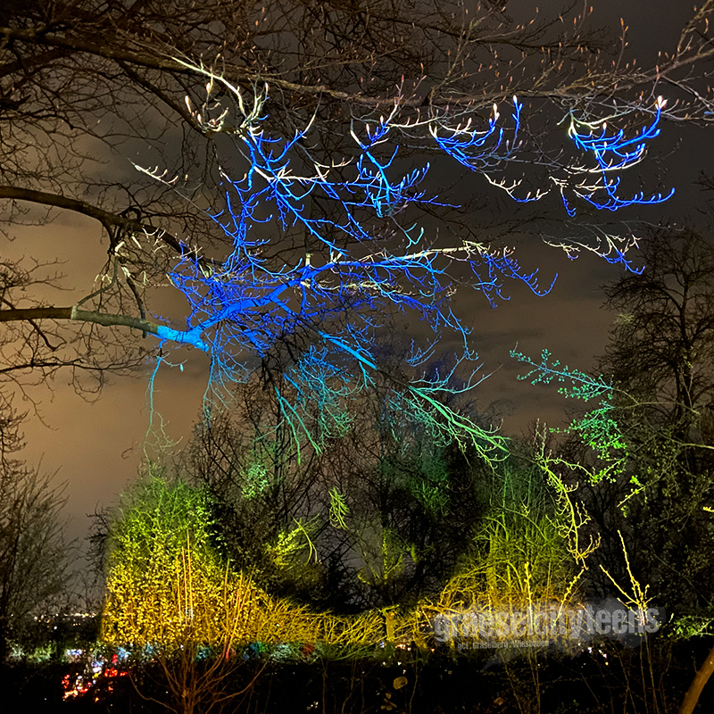 peace light . Beamerlicht im Garten . 17. MÃ¤rz 2022 . gct . graeselcityteens ...auf dem GrÃ¤selberg . Stadtteilzentrum GrÃ¤selberg . Wiesbaden