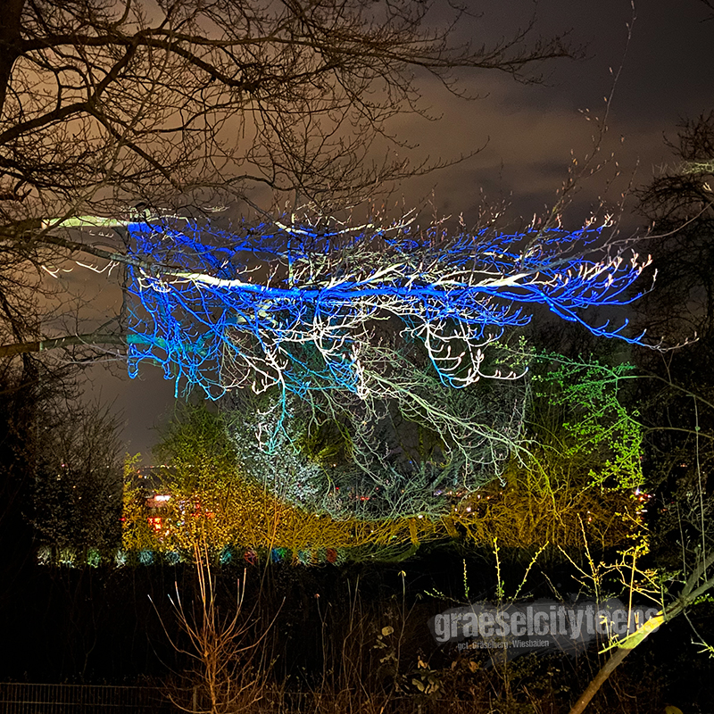 peace light . Beamerlicht im Garten . 17. März 2022 . gct . graeselcityteens ...auf dem Gräselberg . Stadtteilzentrum Gräselberg . Wiesbaden