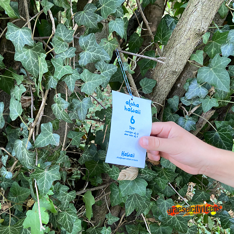 Hawaii . Rätselsuche . Die wunderschöne Inselkette im pazifischen Ozean . 4. August 2022 . gct . graeselcityteens ...auf dem Gräselberg . Stadtteilzentrum Gräselberg . Wiesbaden